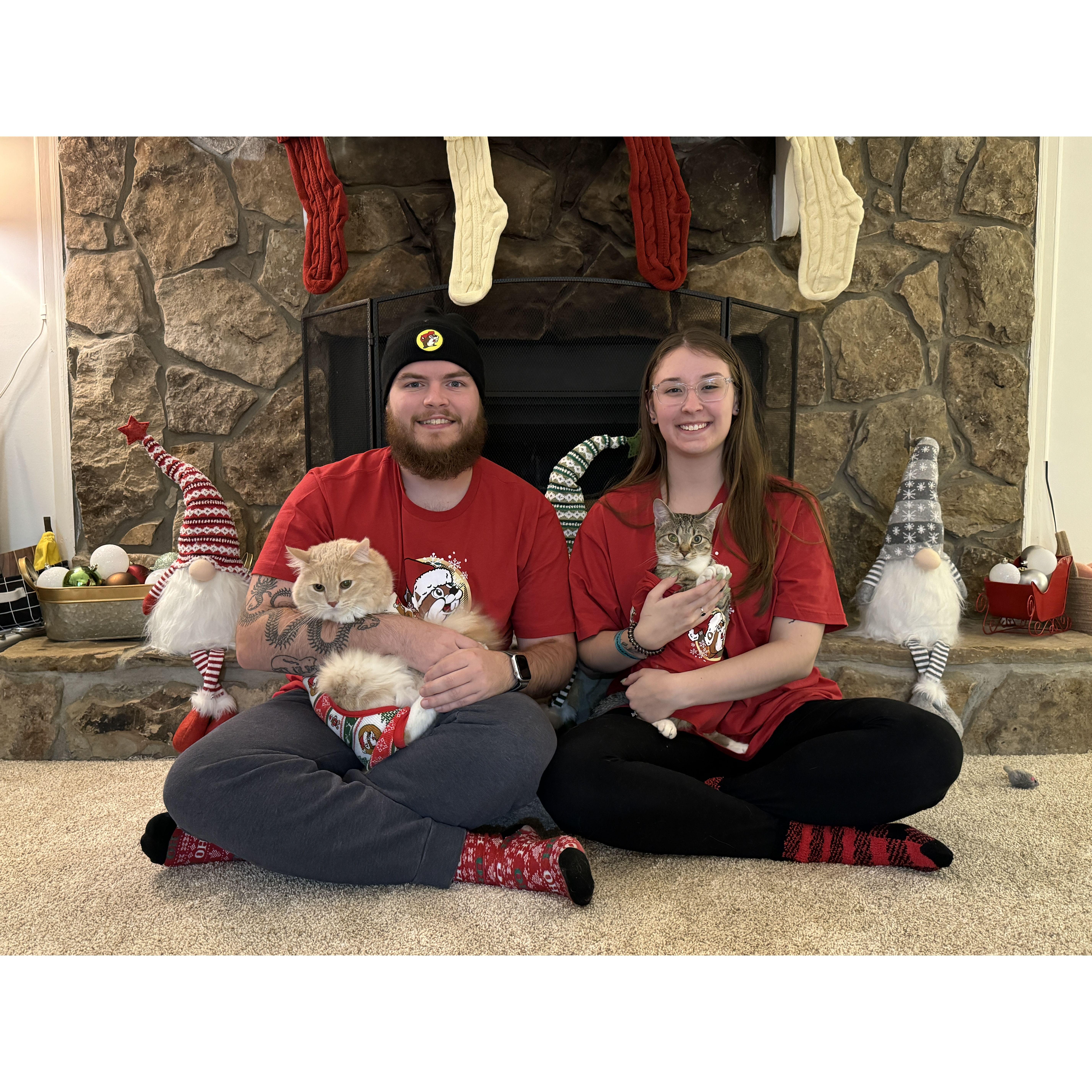 Our First Christmas as homeowners. With Milo & Emmy of course!