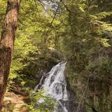 Brook Walk Waterfalls