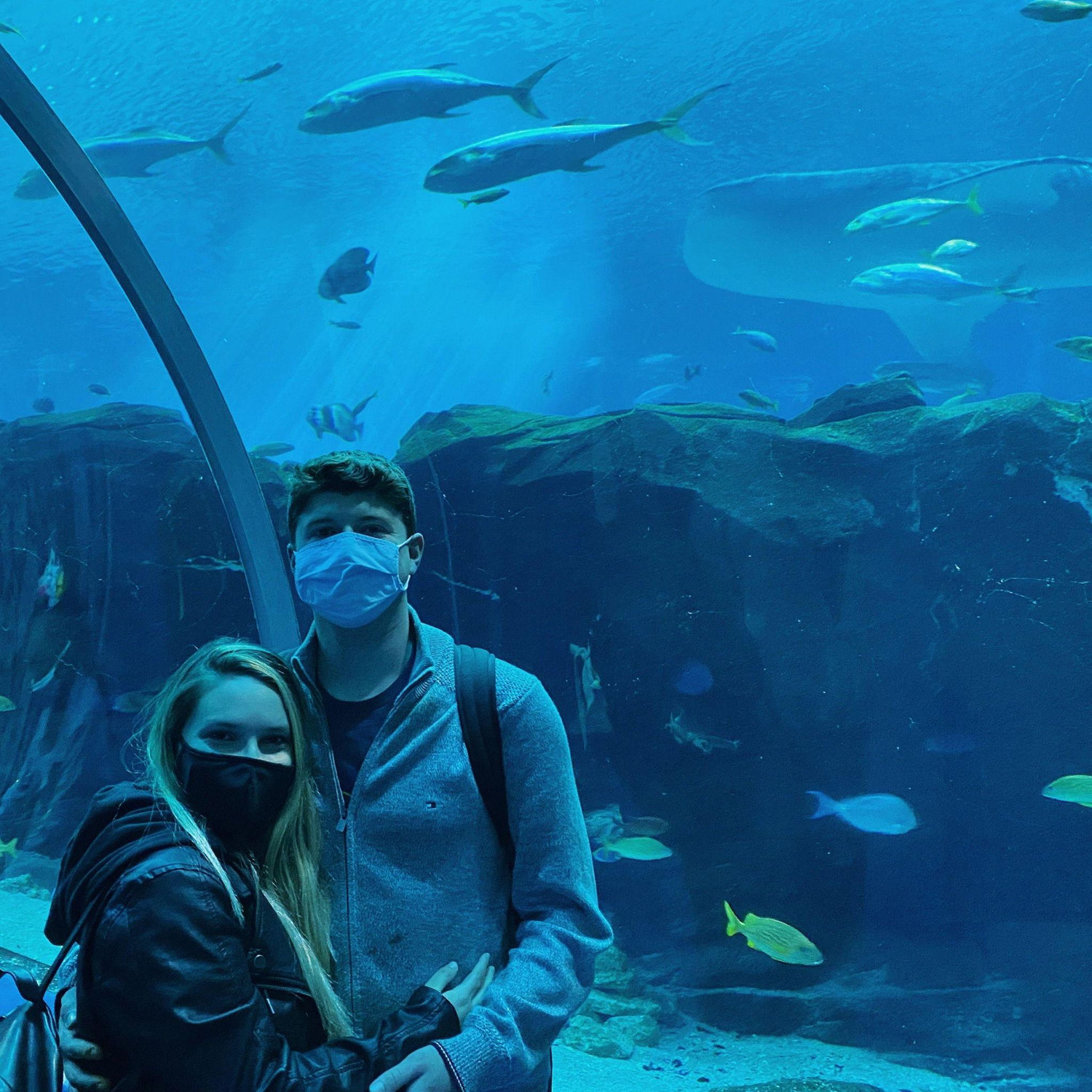 2021 - Georgia aquarium