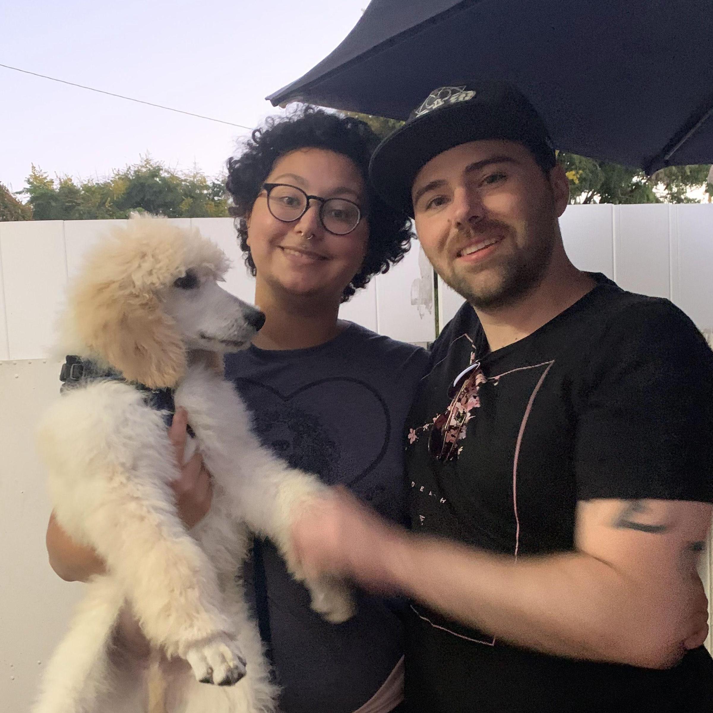 Meeting Poodle Puppies