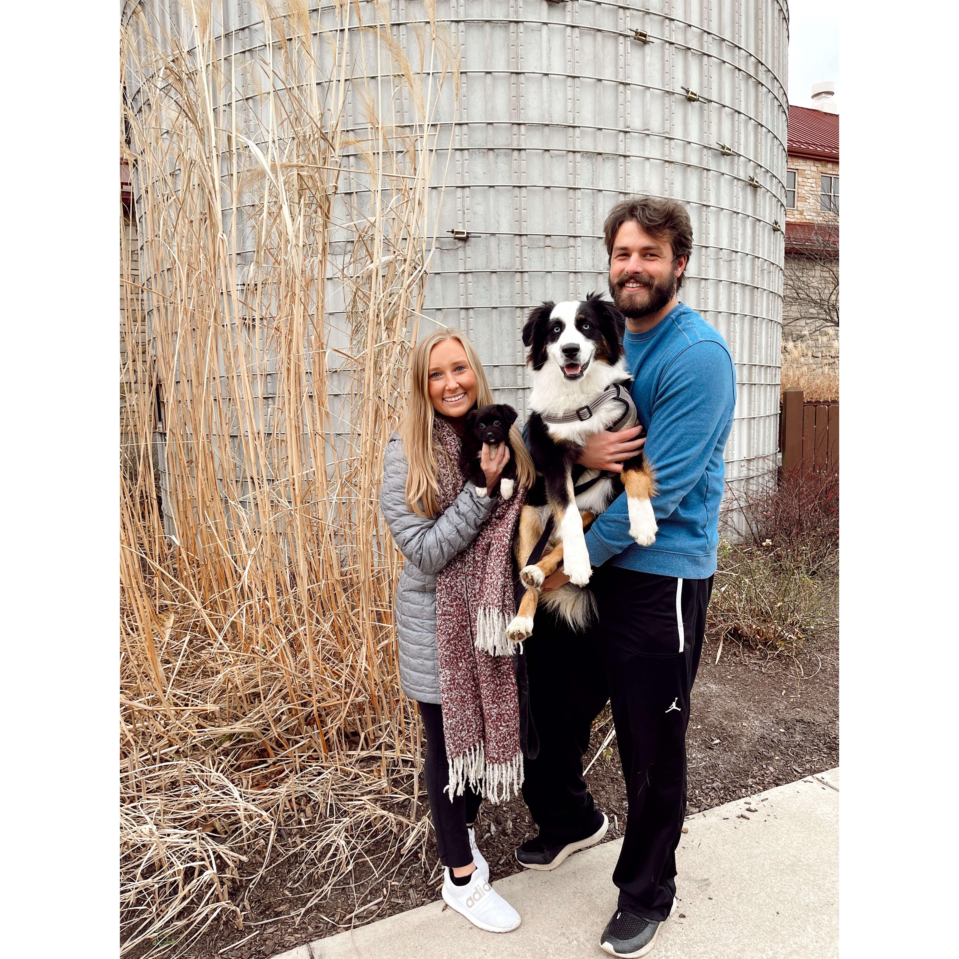 The day they became a little family of four!