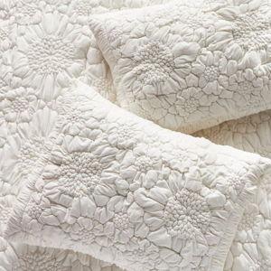 Dahlia Cotton Jersey Floral Shams, Set of 2