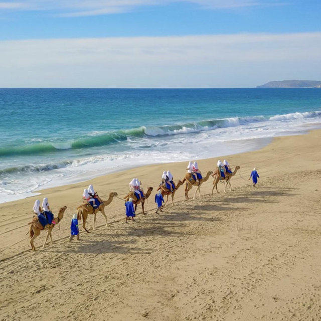 Camel Riding On Our Honeymoon