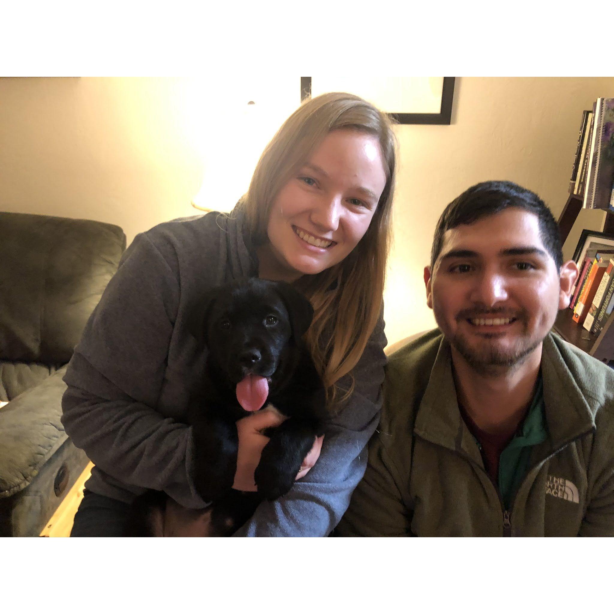 New puppy! March, 2020.