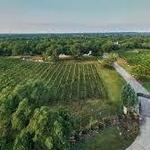 Fall Creek Vineyards in Driftwood