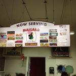 Mallard Ice Cream