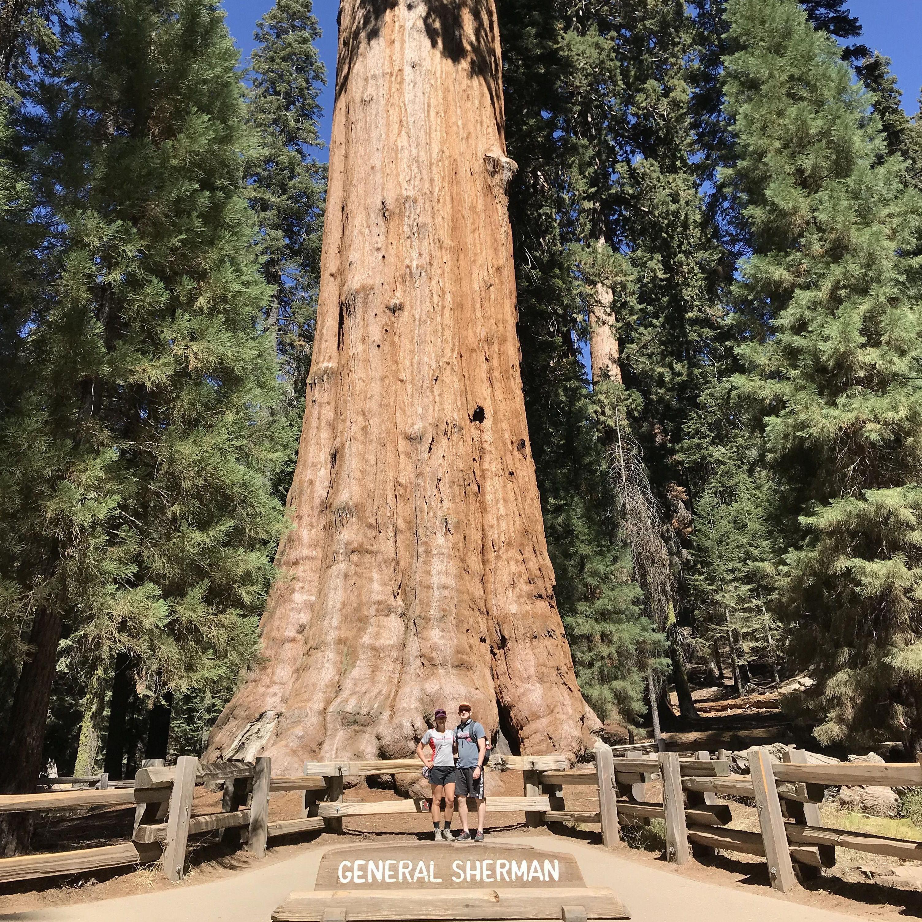 Standing in front of the largest tree in the world, Sequoia National Park, September 2018