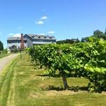 Connecticut Valley Winery LLC