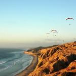 Torrey Pines State Beach