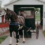 Aaron and Jessica’s Buggy Rides