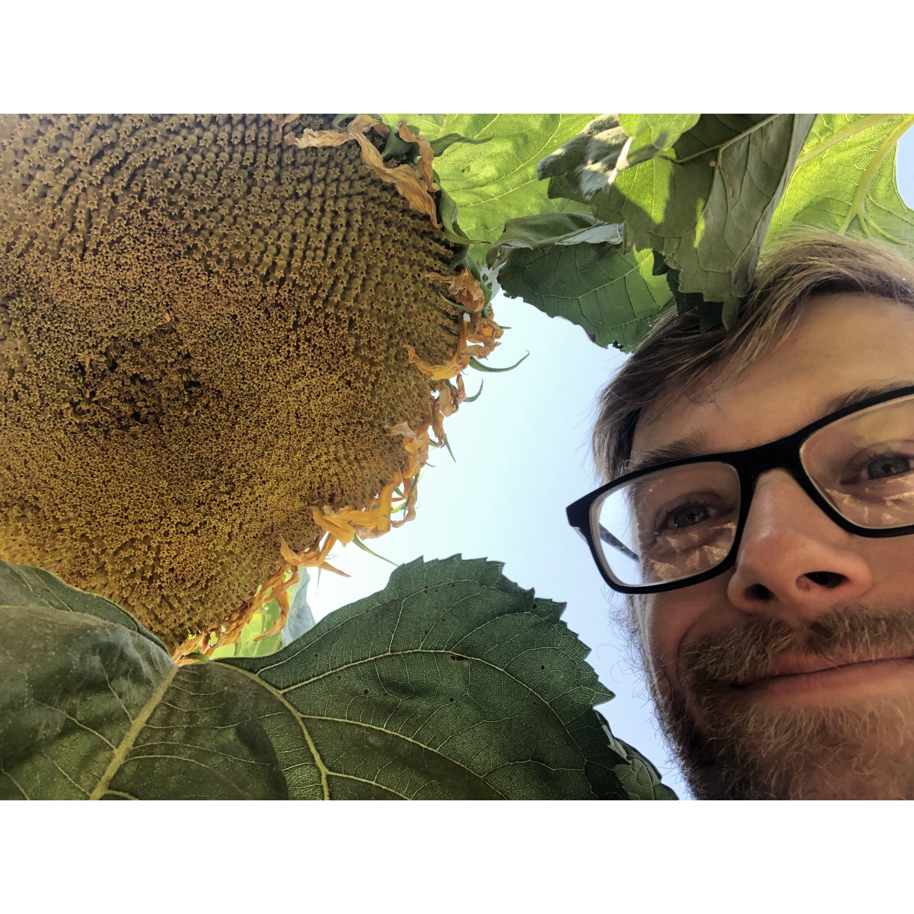 Charlie with a sunflower clearly as big as his head, grown from seed by the preschoolers and us at the CDCC!