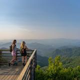 Moderate hike: Wesser Bald Fire Tower