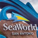 SeaWorld San Antonio