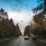 Point Defiance Zoo & Aquarium