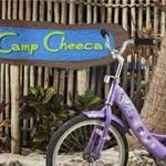 Camp Cheeca Half-Day