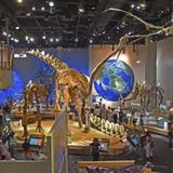Perot Museum of Nature and Science