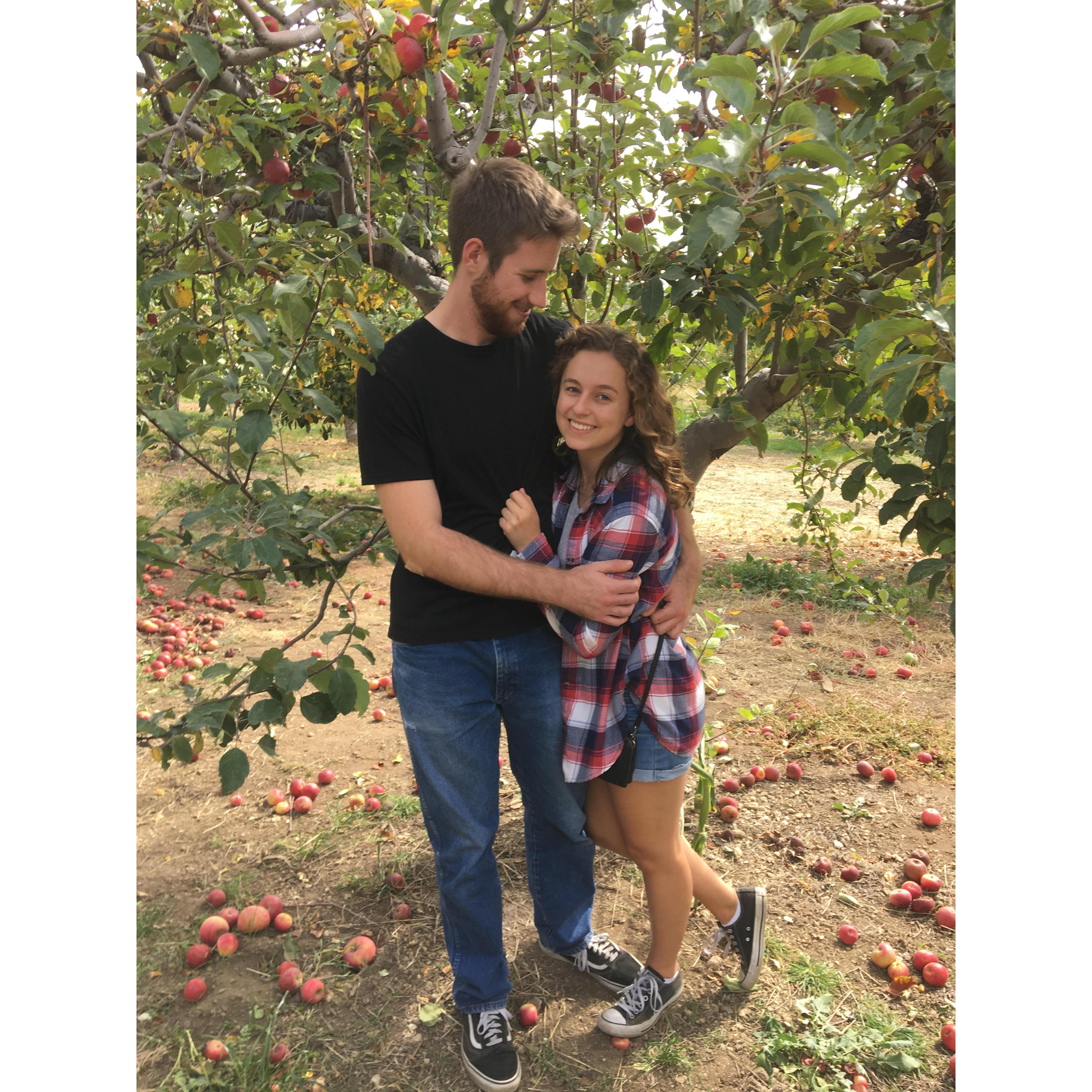 Apple picking