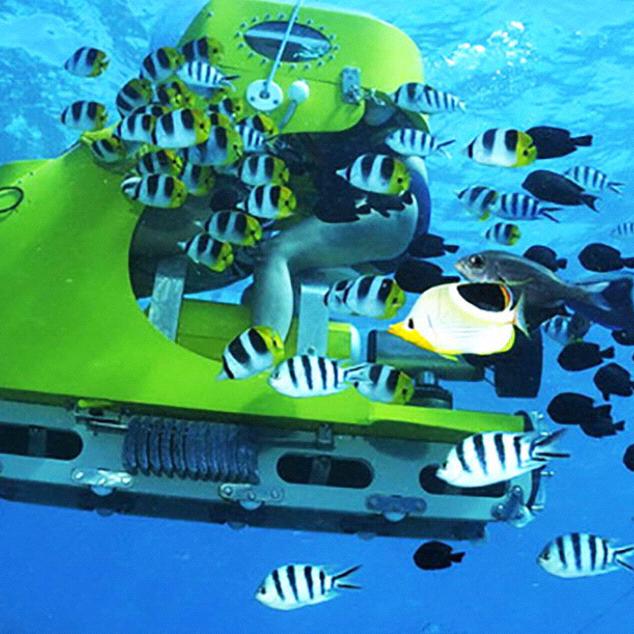 Underwater Scooter Excursion for Two