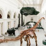 Field Museum