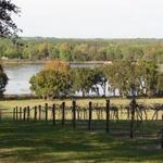 Valley View Vineyard