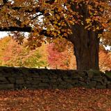 Brandywine Creek State Park