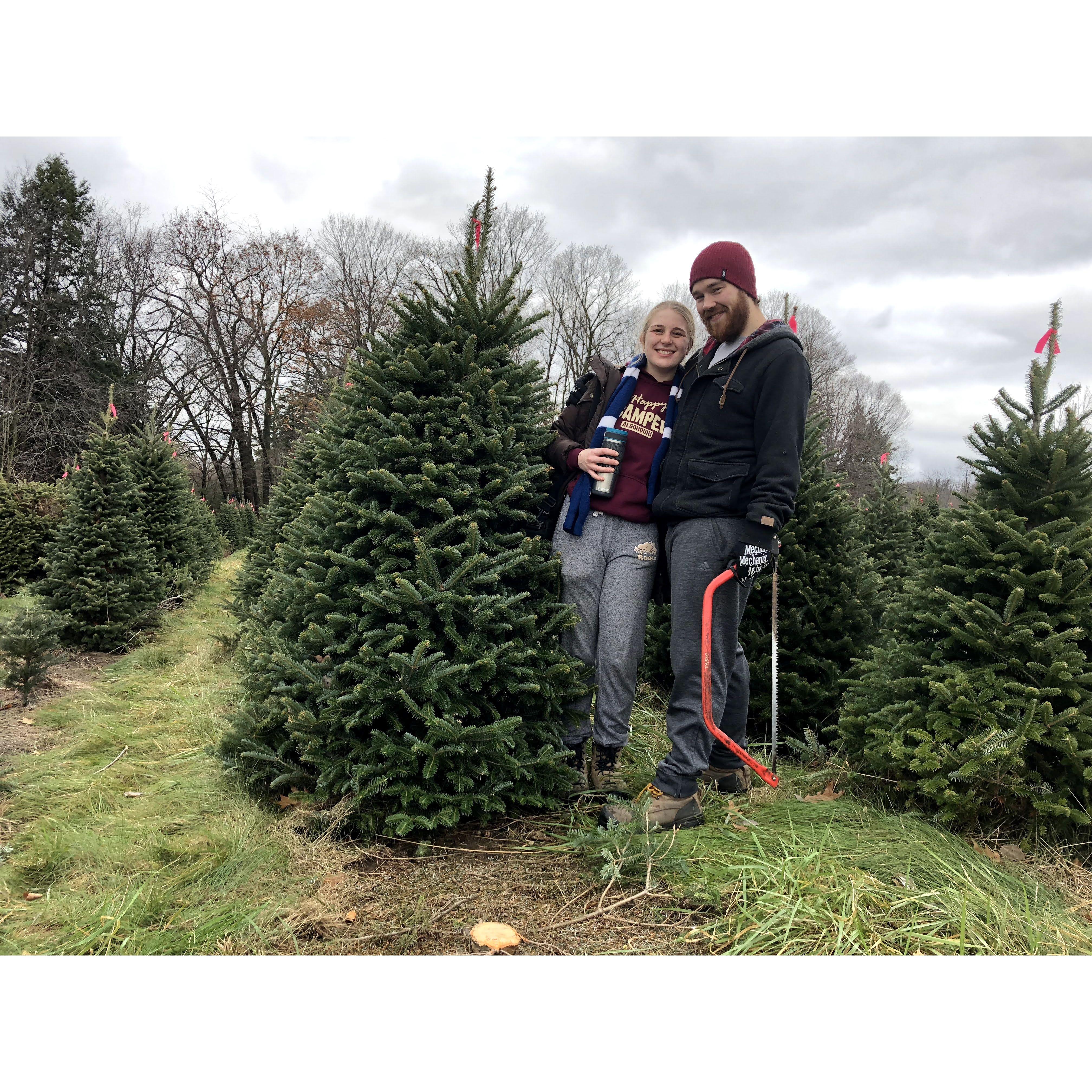 Christmas tree hunting in November 2019.