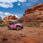 Pink Jeep Tours
