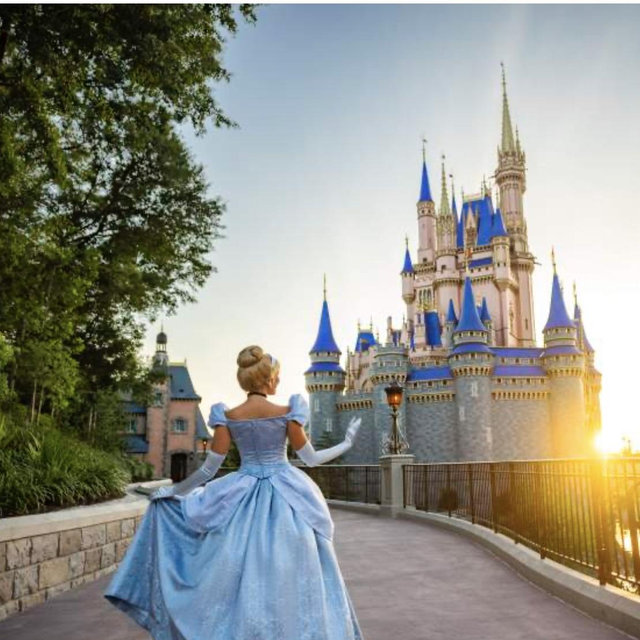 Let’s Make Her Dream Come True!- Disney Trip