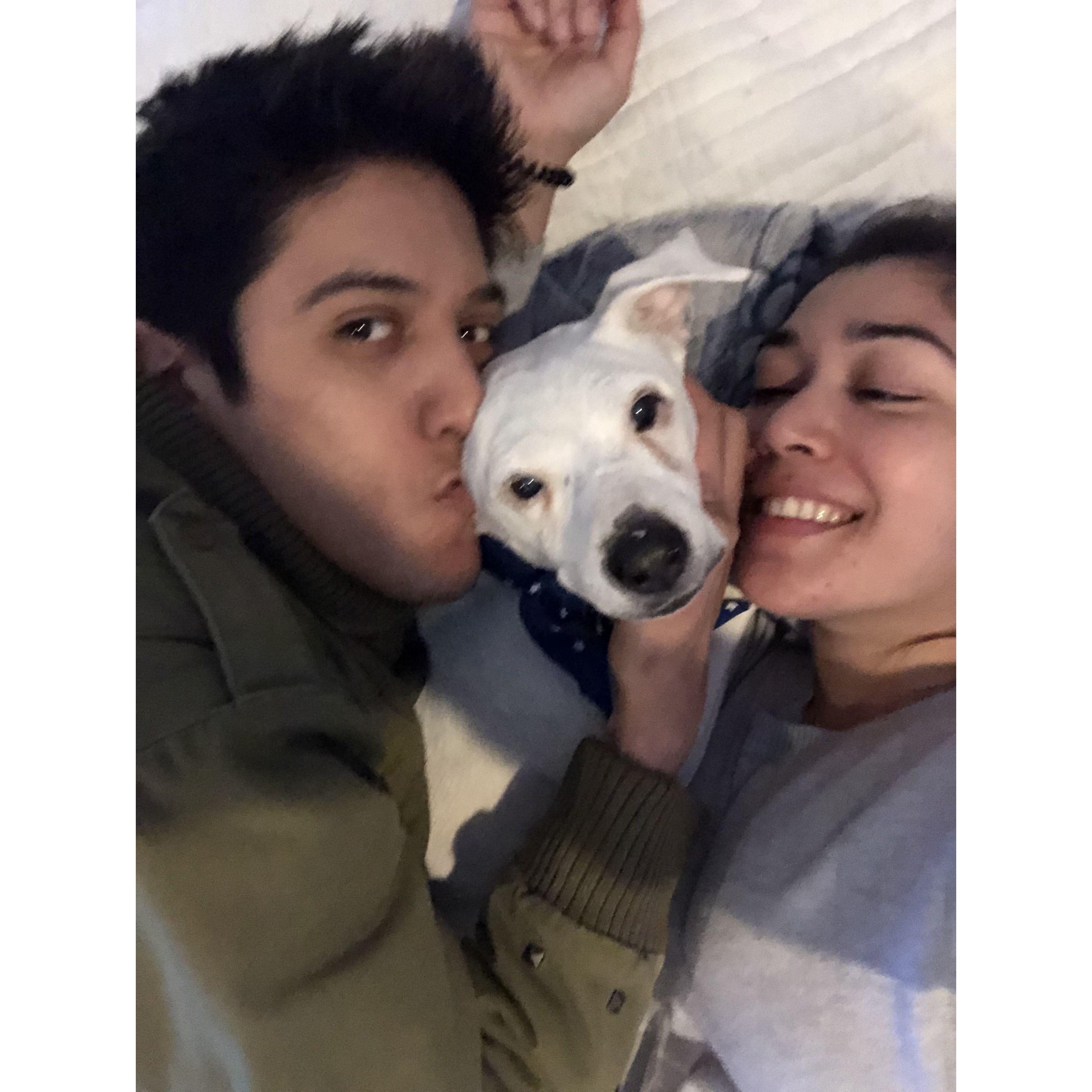 Our furbaby Grr - A precious angel in heaven.