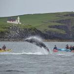 Inish Adventures