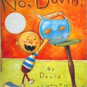 No, David! book in English - CCPEP