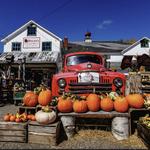 Hogan's Cider Mill