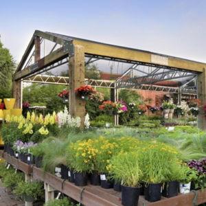 Shoal Creek Nursery Gift Certificates