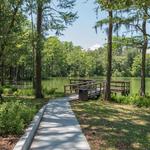 Greenfield Lake