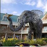 Virginia Zoo