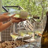 White Pine Winery Tasting Room
