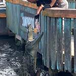 Gatorland