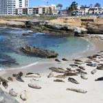 La Jolla