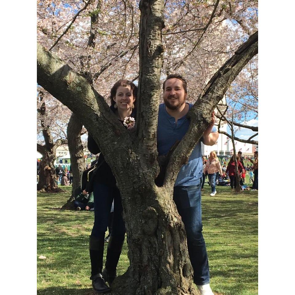 Cherry Blossoms in D.C.