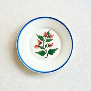 Sweet Berry Dinnerware (Set of 4)