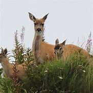 The Wedding Website of Melissa Berns and Nathan Svoboda