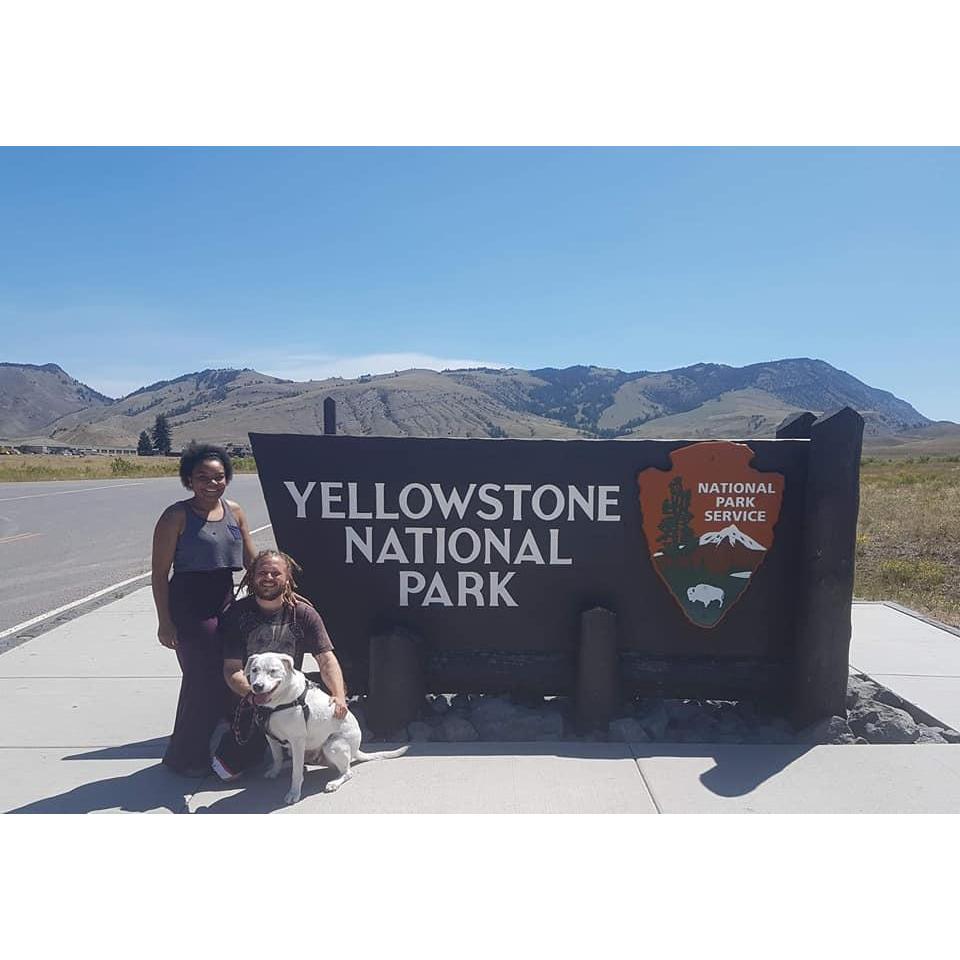 Yellow Stone, always on an adventure!