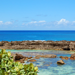 Sharks Cove