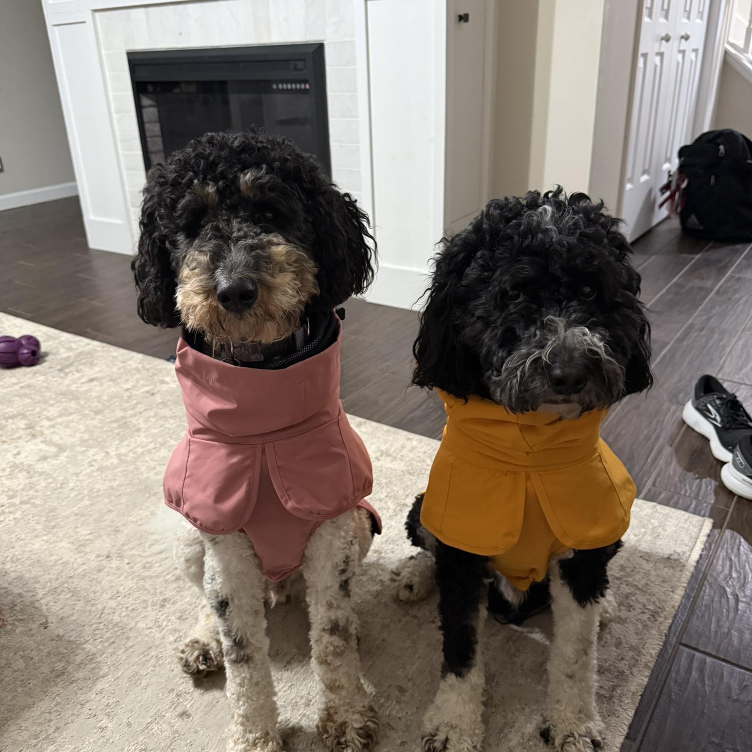 Rain Coats for Ace & Luffy ☔️