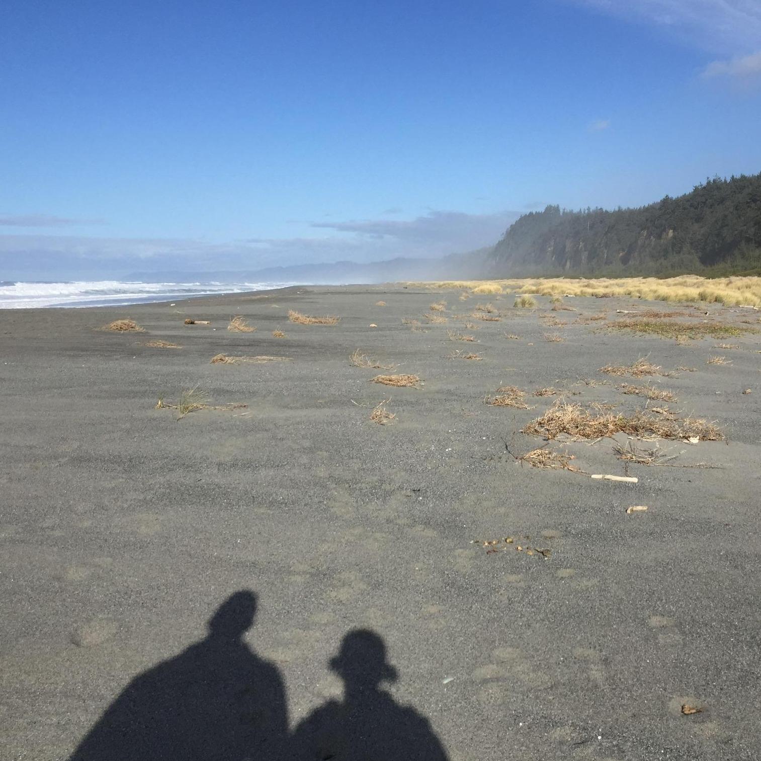 New Years 2017 trip to Redwood National and State Parks.