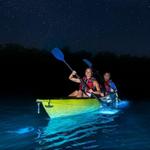 Bahía Bioluminiscente