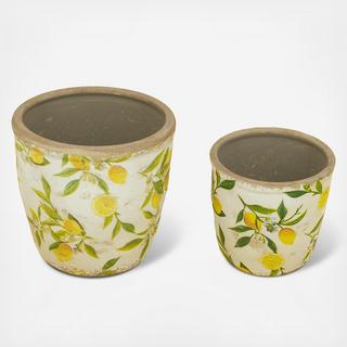 Lemon Motif 2-Piece Ceramic Planter Set