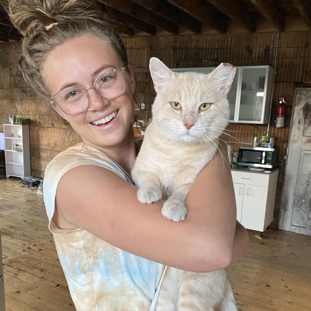 Our stray boy Terry.. hes adopted and living the good life now!