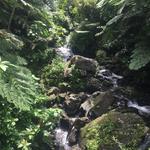 El Yunque National Forest