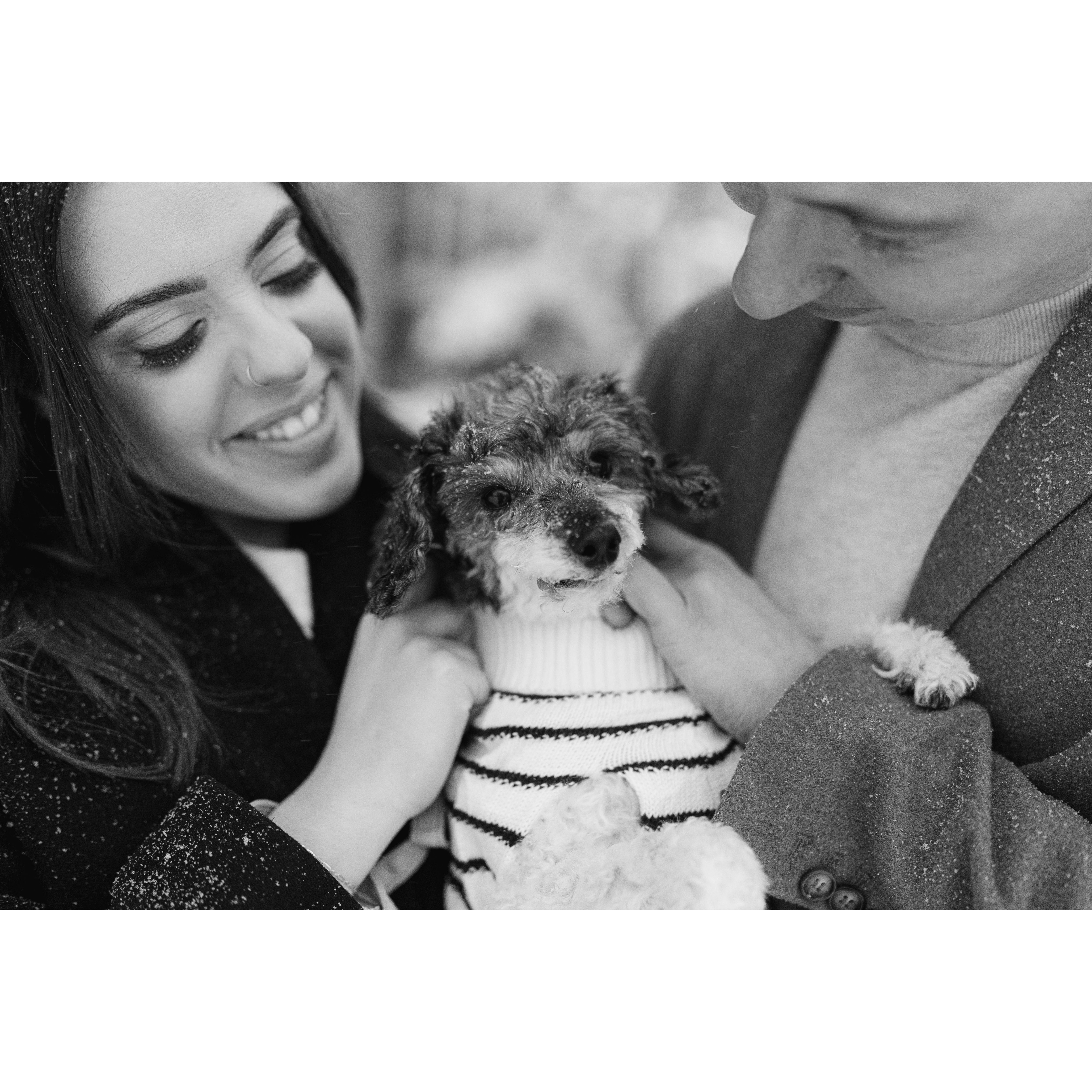 Our Penelope (Nelly)